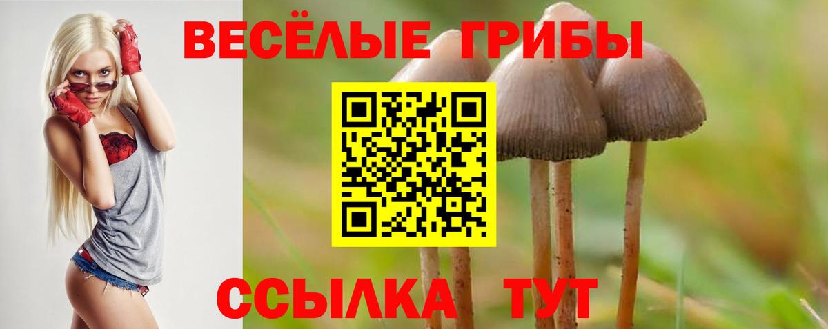 Псилоцибиновые грибы MAGIC MUSHROOMS  Вход с VPN  Мичуринск  Псилоцибиновые грибы Psilocybine cubensis 